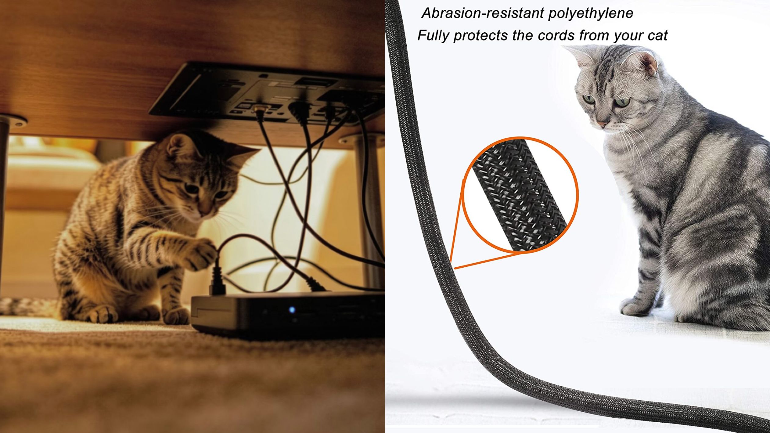 PET products and cats playing with wires
