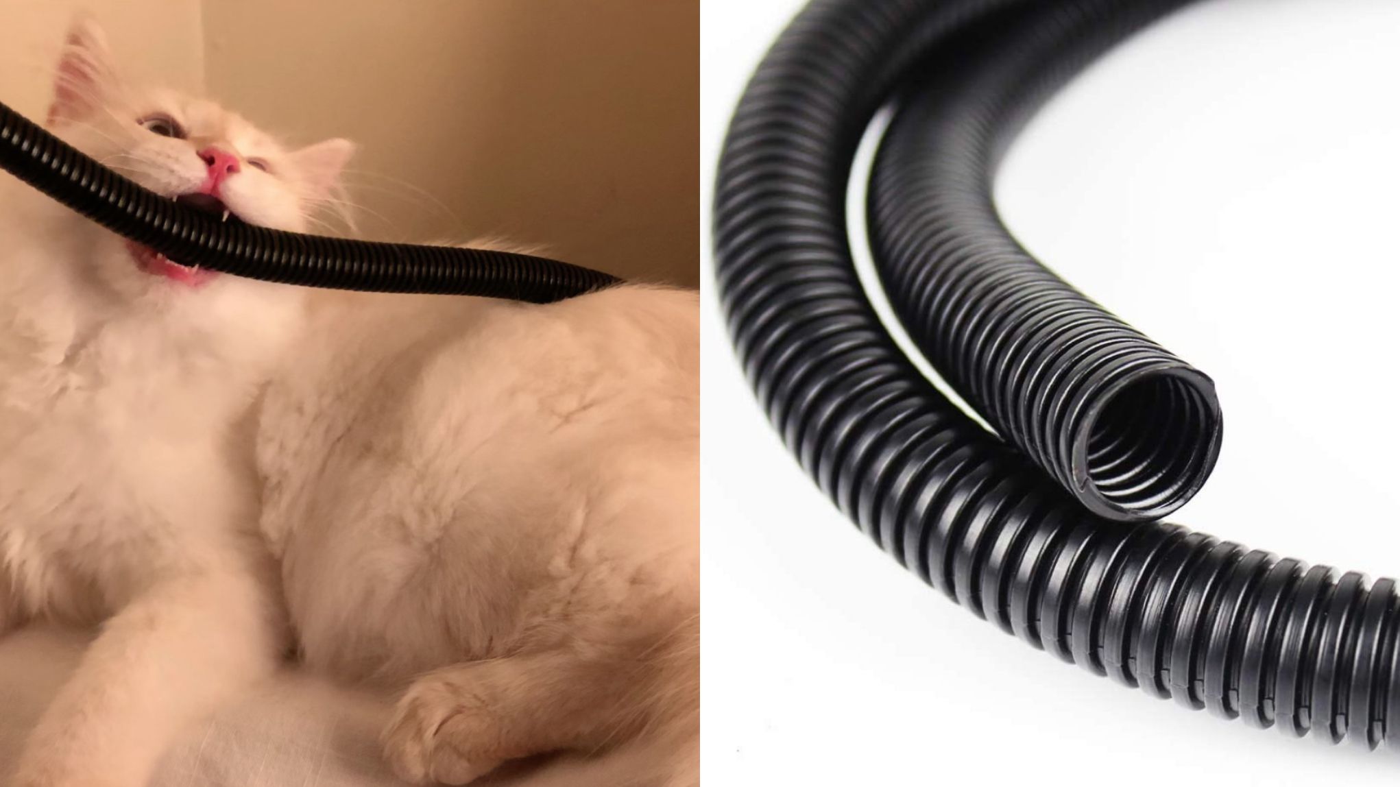 The corrugated plastic tube was chewed by the cat.